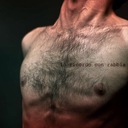 Non tacciano i canti