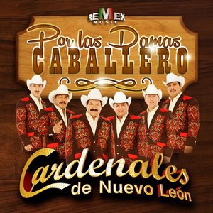Cardenales de Nuevo Leon 4