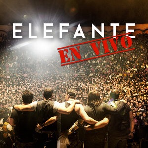 Elefante 8