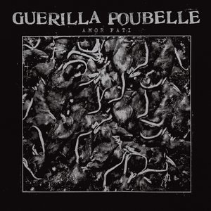 Guerilla Poubelle 3