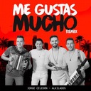 Me Gustas Mucho Remix