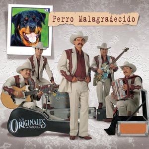 Los Originales De San Juan 5