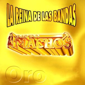 Banda Machos 16