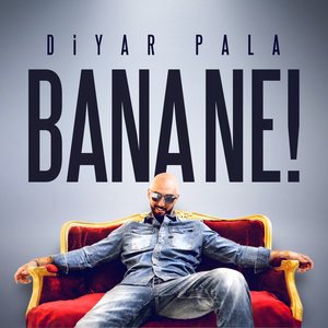 Diyar Pala 4