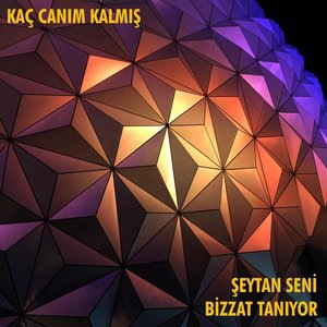 Kaç Canım Kalmış 4