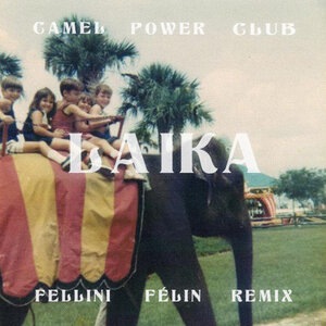 Camel Power Club 2