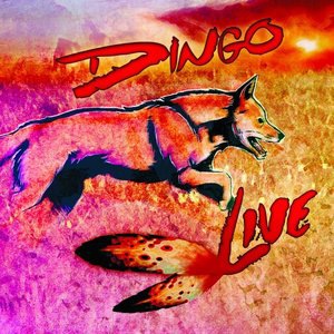 Dingo 7