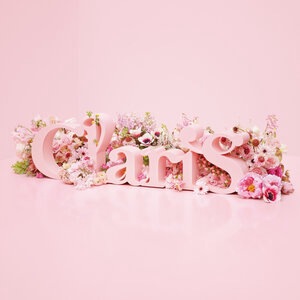 ClariS 8