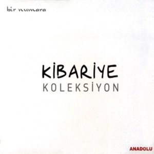 Kibariye 3