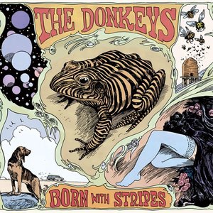 The Donkeys 2
