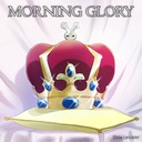 Morning Glory