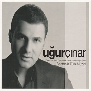 Kanatları Gümüş Yavru Bir Kuş