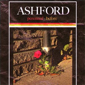 Ashford 19