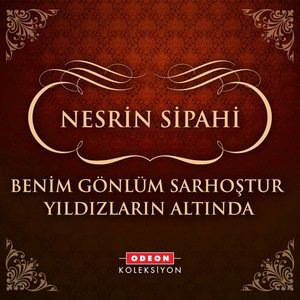 Nesrin Sipahi 7