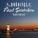 Bu Akşam Gün Batarken Gel