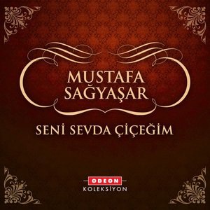 Gel de İçme Şu Dünyanın Kahrına