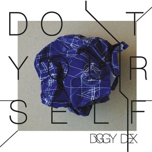 Diggy Dex 11