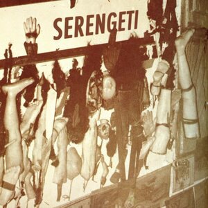 Serengeti 10