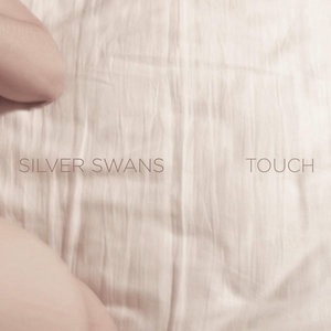 Silver Swans 3