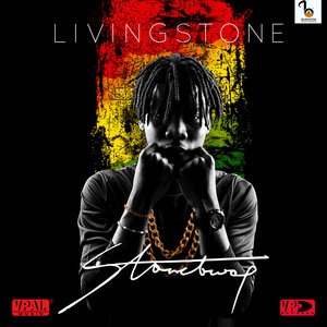 Stonebwoy 6