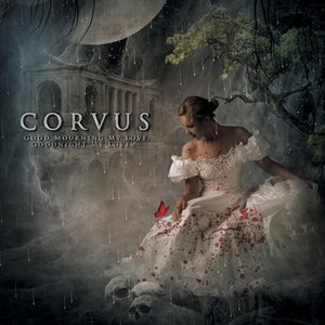 Corvus 6