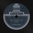 Adana'nın Yolları Taştan