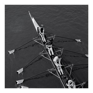 J'ai Plongé Dans Le Bruit