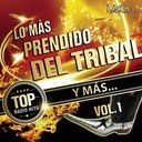 Cumbia Tribalera (feat. Banda La Trakalosa & Violento)
