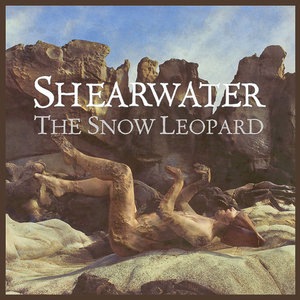 Shearwater 5