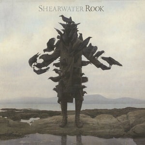 Shearwater 4