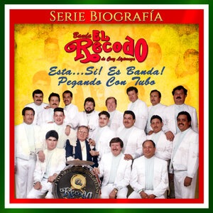 banda el recodo 12