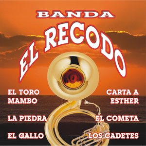 banda el recodo 11