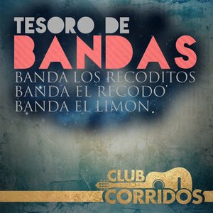 banda el recodo 6