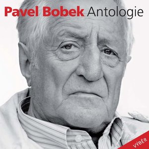 Pavel Bobek 2