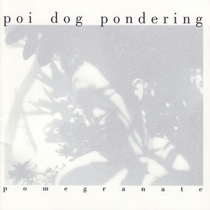 Poi Dog Pondering 6