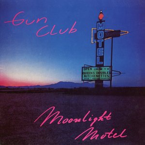 The Gun Club 5