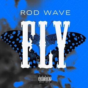 Rod Wave 6