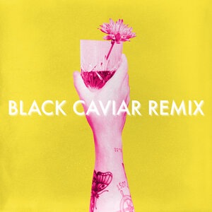 Black Caviar 3