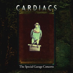 Cardiacs 13