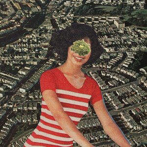 Werewolf Diskdrive 1