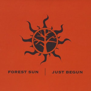 Forest Sun 9