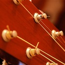 A Lifetime In A Week