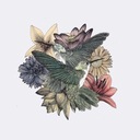 Kita Berangkat Saja Dulu