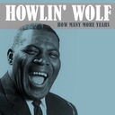 Gettin' Old and Grey