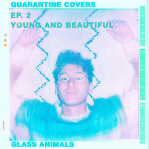 Glass Animals 10