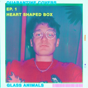 Glass Animals 9