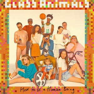 Glass Animals 7