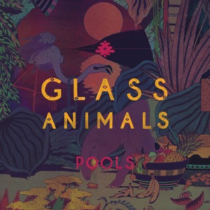 Glass Animals 5