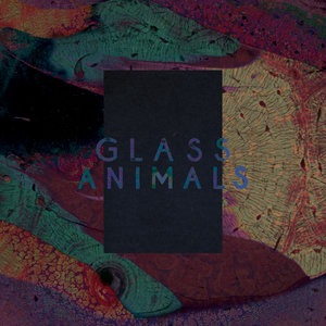 Glass Animals 3