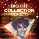 You'd Be So Nice To Come Home To